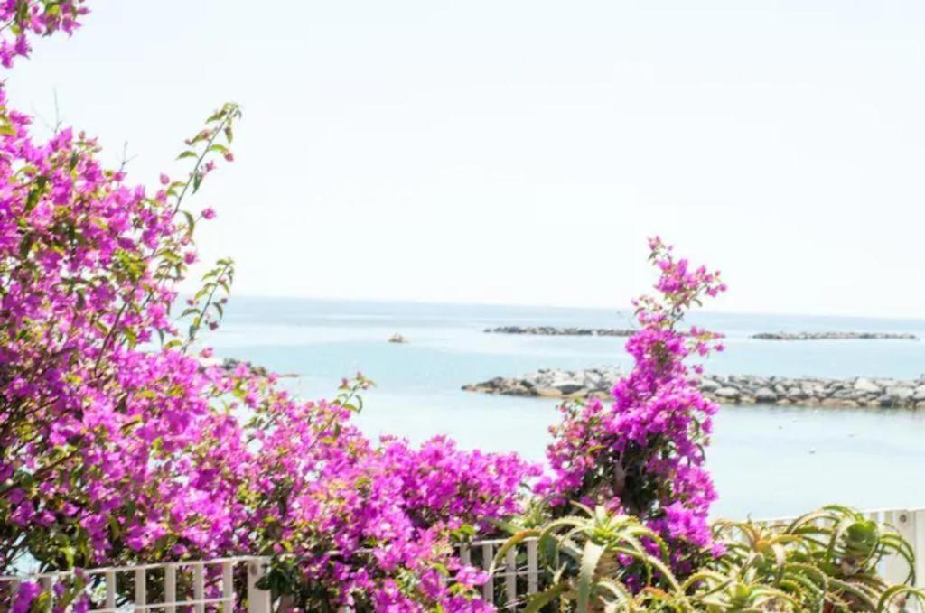 Casa Vacanza Rossella Sanremo Exteriér fotografie