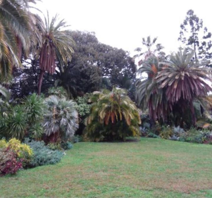 Casa Vacanza Rossella Sanremo Exteriér fotografie